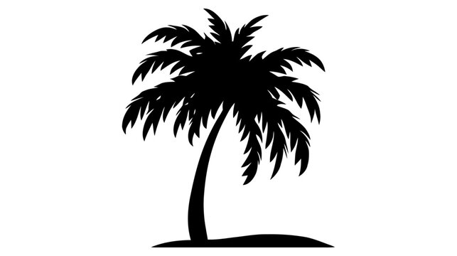 Black palm trees isolated on white background. Palm silhouettes.