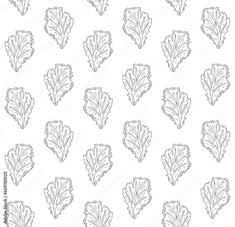 Sticker Vector seamless pattern of hand drawn doodle sketch salad leaf isolated on white background