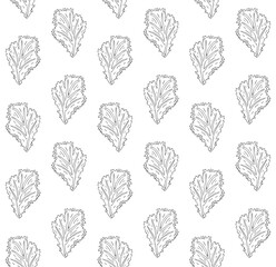 Vector seamless pattern of hand drawn doodle sketch salad leaf isolated on white background