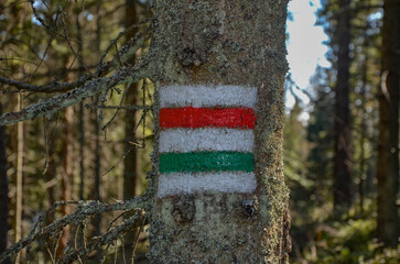 no parking sign © Pawel Filusz