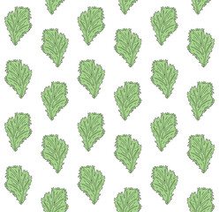 Vector seamless pattern of hand drawn doodle sketch green salad leaf isolated on white background