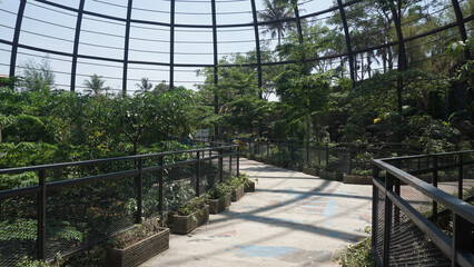 view inside a large aviary dome and botanical garden with curved steel in the form of dome © thebaikers