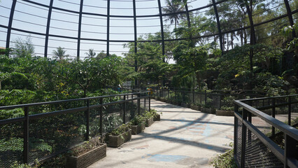 view inside a large aviary dome and botanical garden with curved steel in the form of dome