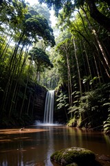 waterfall in the forest