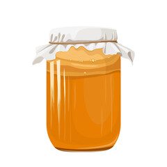 Vector illustration, Kombucha in a glass jar, known as tea mushroom, or Manchurian mushroom, latin name Medusomyces gisevii, isolated on white background.