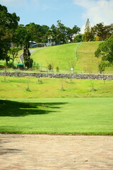 Obraz premium 綺麗な芝生が広がる健康の森公園