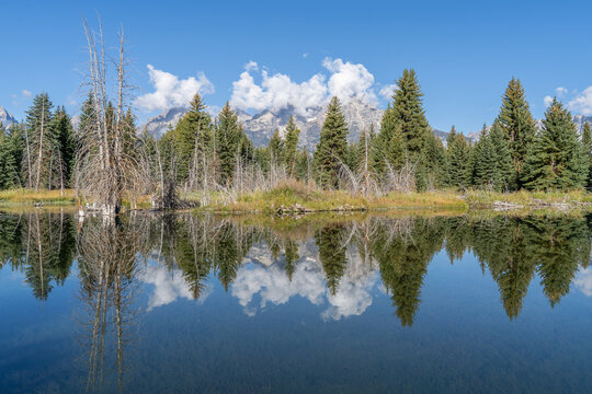 Schwabacher Landing with the Teton Mountains reflecting in the water of the Snake River in autumn
