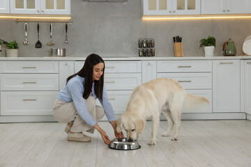 Beautiful young woman feeding her adorable Labrador Retriever in kitchen