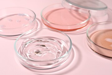 Petri dishes with liquids on pale pink background, closeup