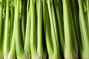 Many fresh green celery bunches as background, top view