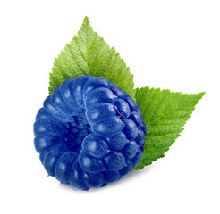 Fresh blue raspberry and green leaves isolated on white