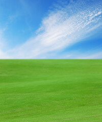 Beautiful lawn with green grass under bright blue sky with clouds