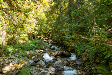 Forests in the Orlu National Wildlife Reserve, in Ariège, the Maison des Loups in France