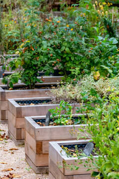 Kr&auml;utergarten im Herbst