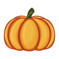 pumpkin vector illustration