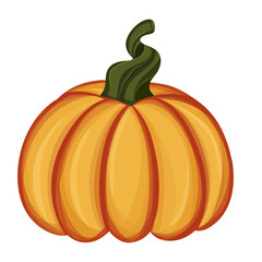 pumpkin vector illustration