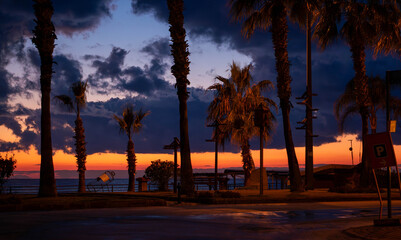 Promenade along the sea with palm trees at sunset