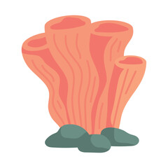 sea life coral and stones