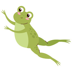 frog eating fly jumping