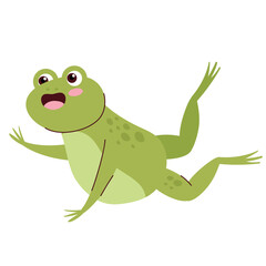 frog animal funny isolated