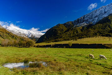 Fototapeta na wymiar Mount Aspiring National Park in South Island, New Zealand