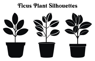 Set of Vector potted plants silhouette, Black and white Potted Desert plant Clipart Collection, 
Indoor plant in pots