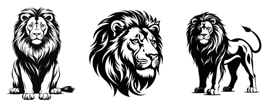 Set of lion, vector illustration, Generative Ai