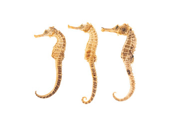 dry Sea Horse isolated on white