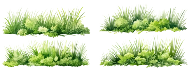 Fototapeten Green grass watercolor illustration. Lush grass close up meadow element. Fresh herbs and natural plants floral illustration © Kar