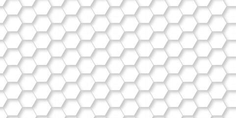 Fototapeta premium Abstract background with hexagon and white Hexagonal Background. Luxury White Pattern. Vector Illustration. 3D Futuristic abstract honeycomb mosaic white background. geometric mesh cell texture.