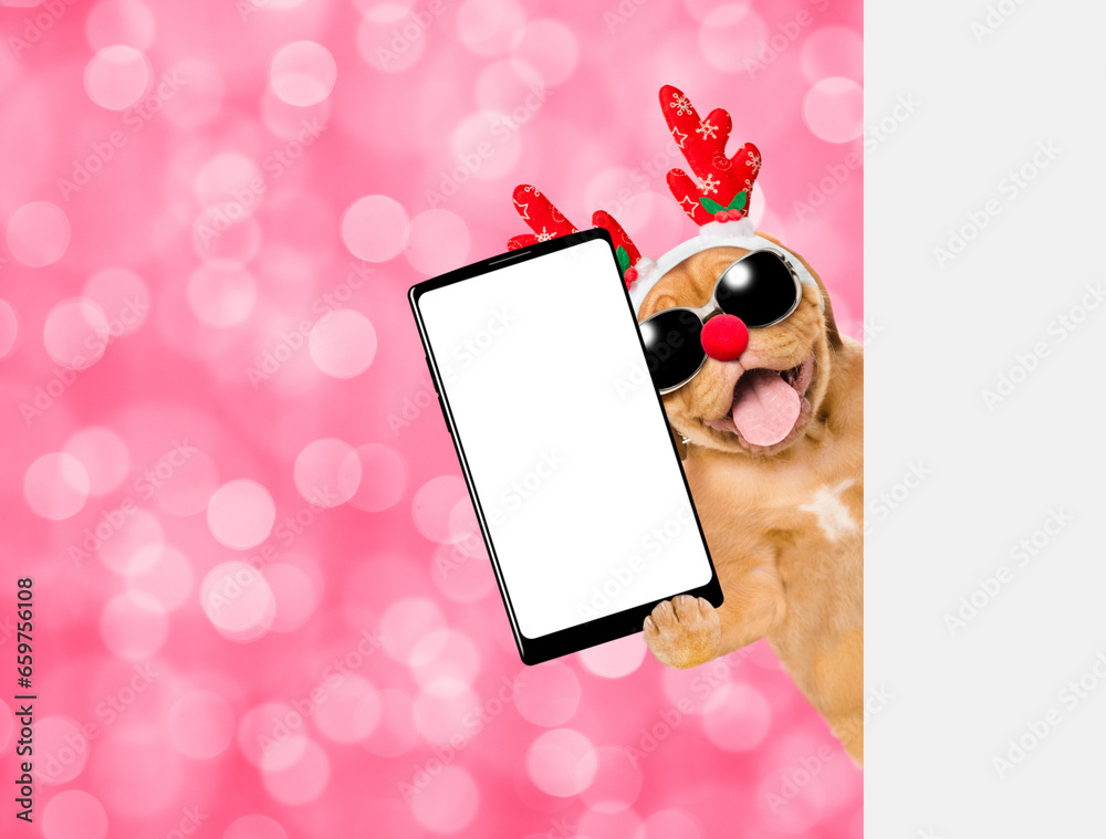 Poster happy mastiff puppy dressed like santa claus reindeer rudolf holds big smartphone with empty screen 
