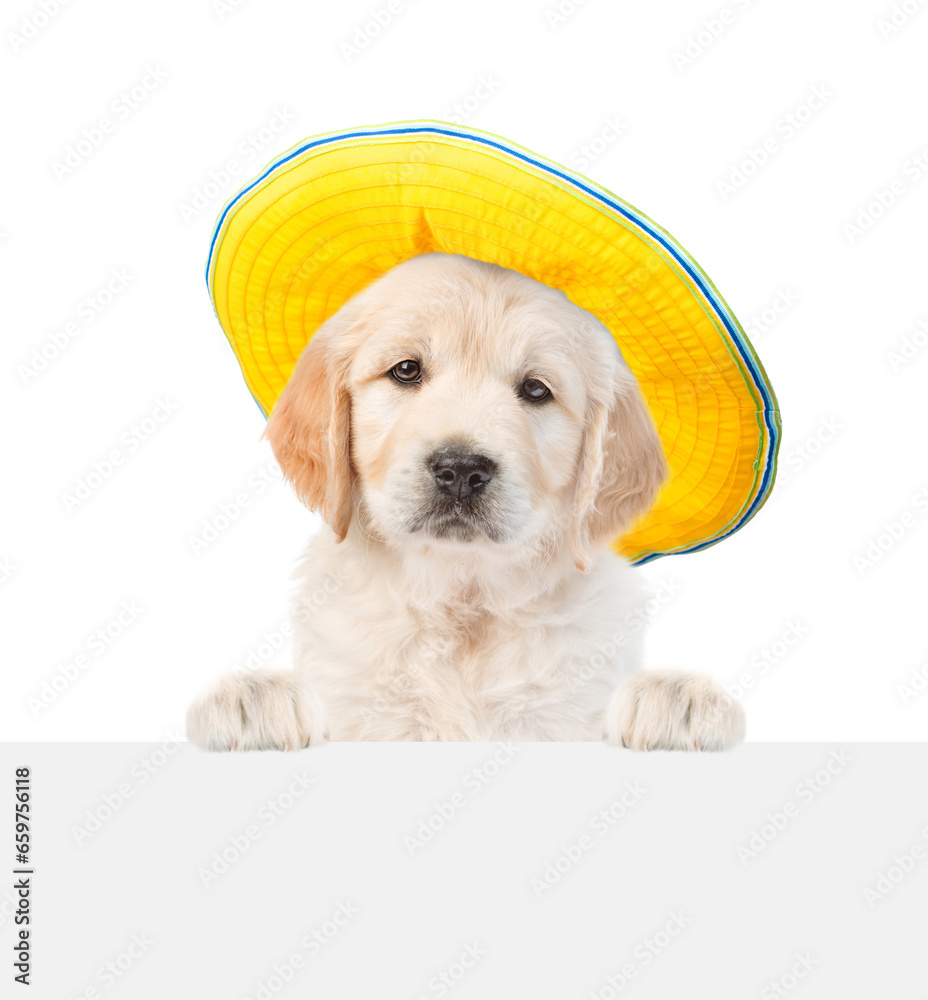 Sticker Golden retriever puppy wearing sunglasses and summer hat looks above empty white banner. isolated on white background