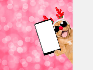 Obraz premium Happy Mastiff puppy dressed like santa claus reindeer Rudolf holds big smartphone with empty screen in it paw looking from behind empty white banner and holds gift box