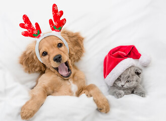 Yawning English Cocker spaniel puppy dressed like santa claus reindeer  Rudolf lying with cozy...