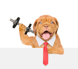 Smart Mastiff puppy wearing necktie lifts dumbbell above empty white banner. isolated on white background