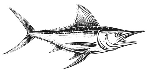 Swordfish vintage engraving drawing vector illustration