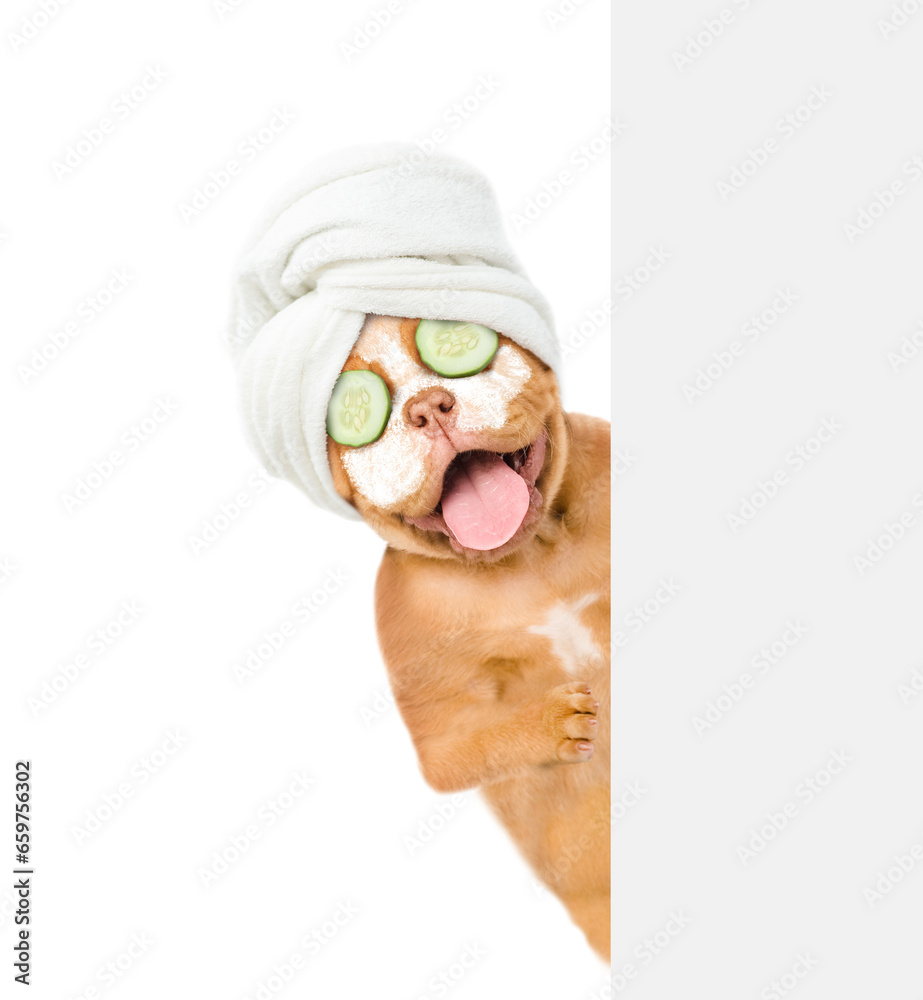 Poster Happy Mastiff puppy with towel on it head, with pieces of cucumber on it eyes and with cream on it face points away on empty white banner. isolated on white background