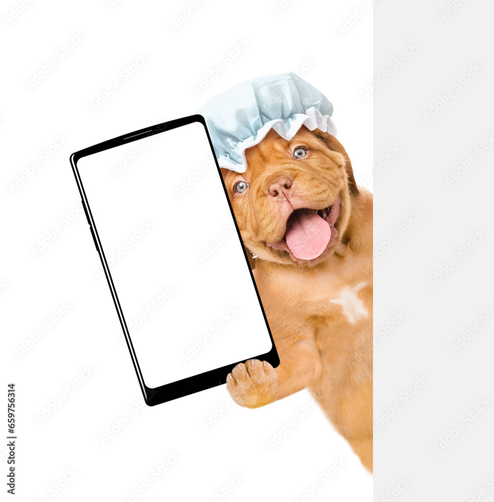 Poster mastiff puppy wearing shower cap holds big smartphone with white blank screen in it paw behind empty