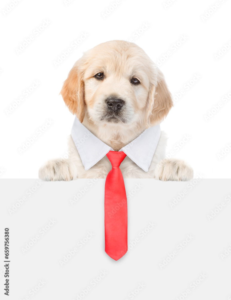Poster smart golden retriver puppy wearing necktie looks above empty white banner. isolated on white backgr