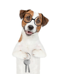 Smart Jack russell terrier puppy wearing eyeglasses holds in his paw keys to a new apartment....