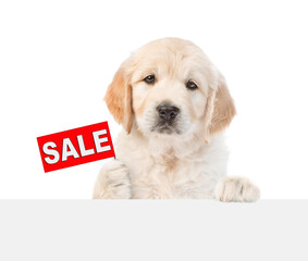 Smart Golden retriver puppy shows signboard with labeled "sale" above empty white banner. isolated on white background