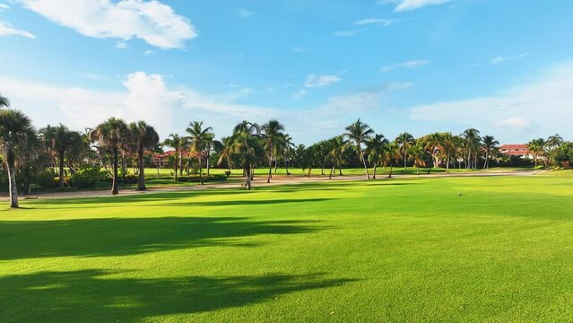 Green golf course and dramatic blue sky. Sports and lifestyle concept. Landscape of a golf course on the coast. Blue grass and a beautiful view of the sky over a grassy lawn with palm trees.