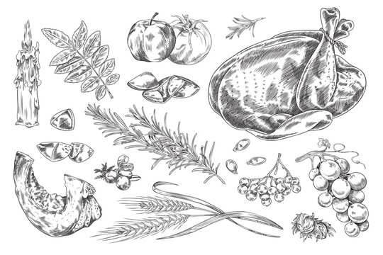 Thanksgiving hand drawn sketch isolated elements set.