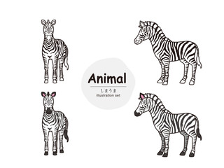 動物イラスト（しまうま）