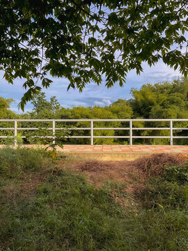 white fence in the park
