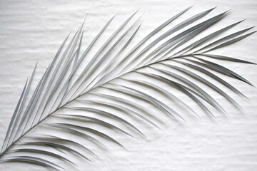 A background image featuring a palm branch set against a white background, offering a minimalist backdrop for various creative endeavors. Photorealistic illustration