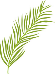 Fototapeta premium Green Leaf