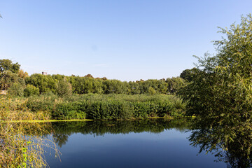 Fototapeta na wymiar Landscape with river, trees and blue sky