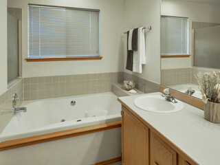 Modern residential bathroom interior