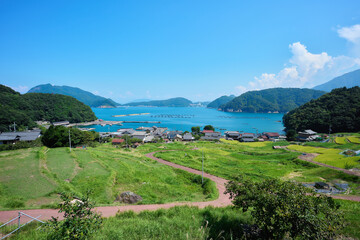 海に面した棚田のある集落 © kohta65